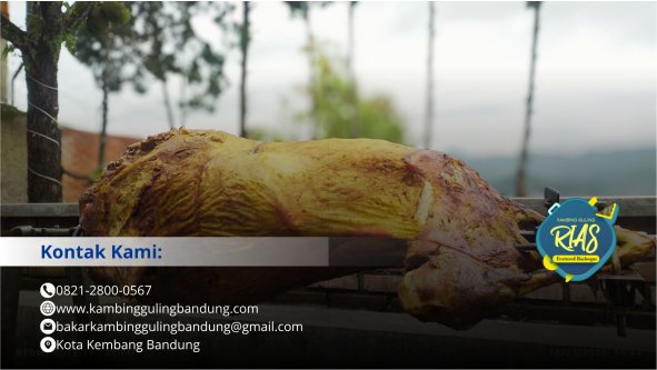 Kambing Guling Bandung Pakar Kelezatan Terbaik kambing guling bandung